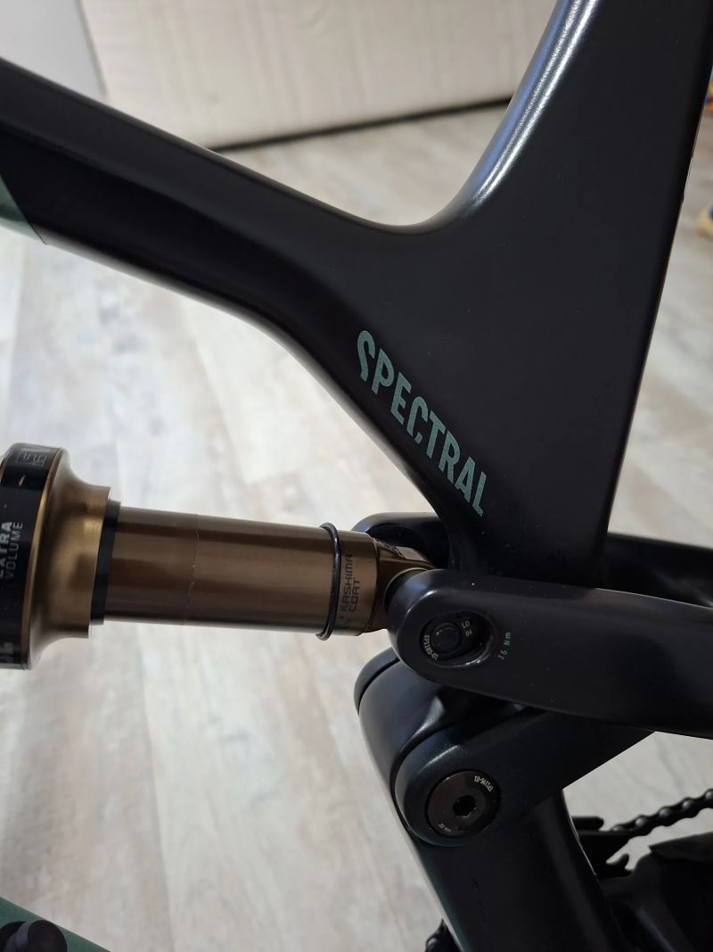 Canyon Spectral 29 CFR