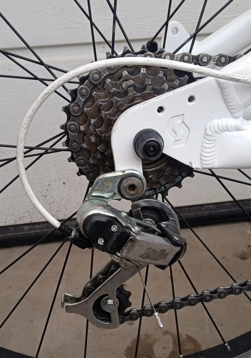 Scott Junior 24 Contessa