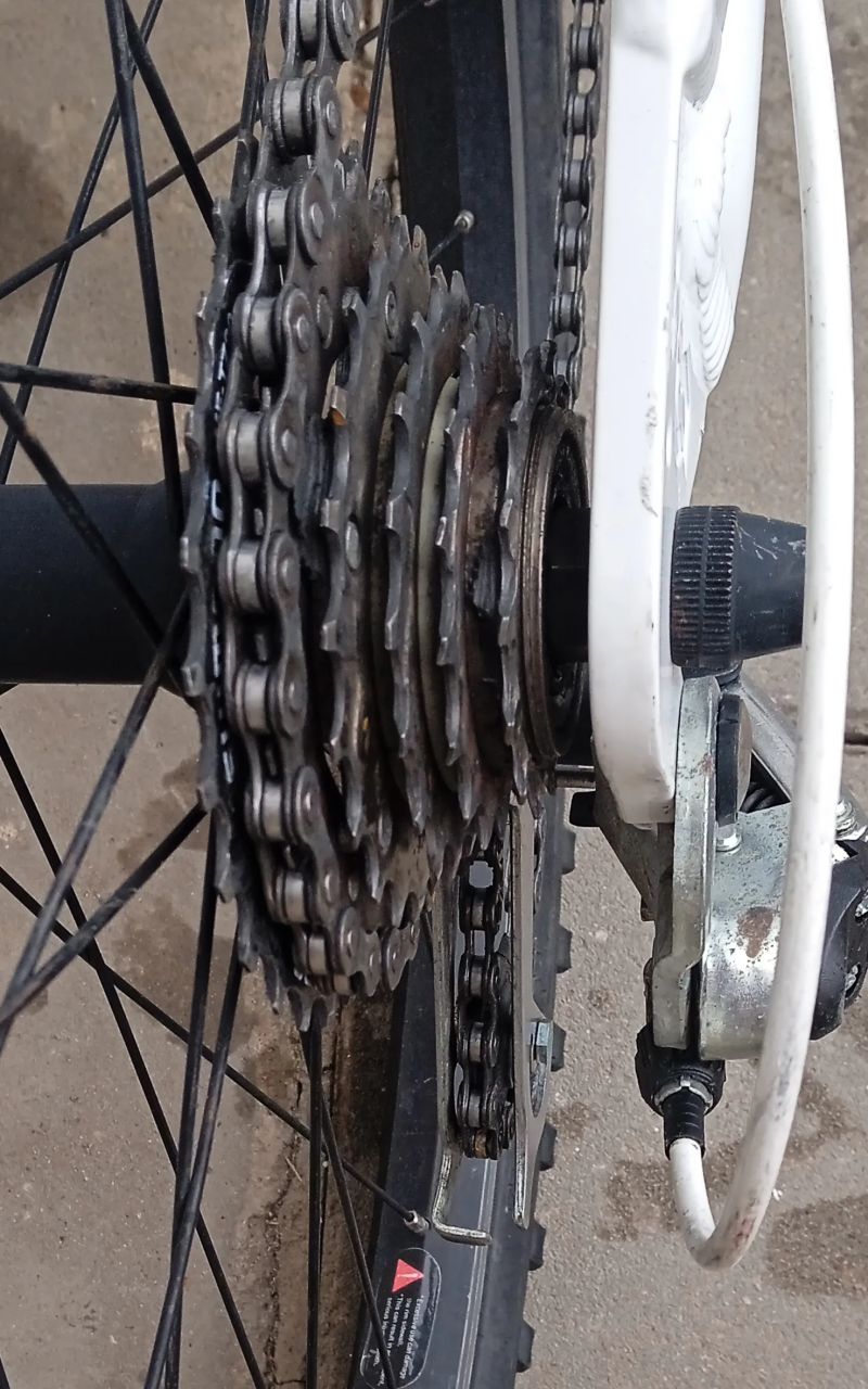 Scott Junior 24 Contessa