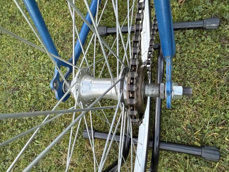 Favorit SINGLSPEED CUSTOM