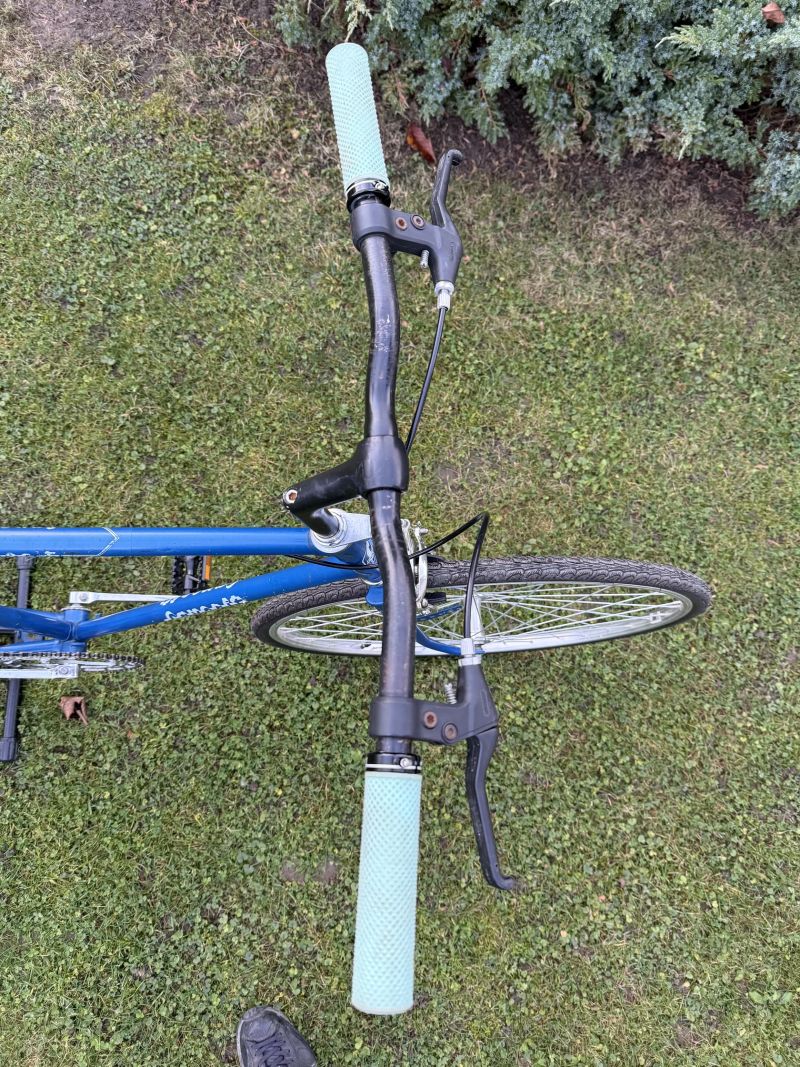 Favorit SINGLSPEED CUSTOM