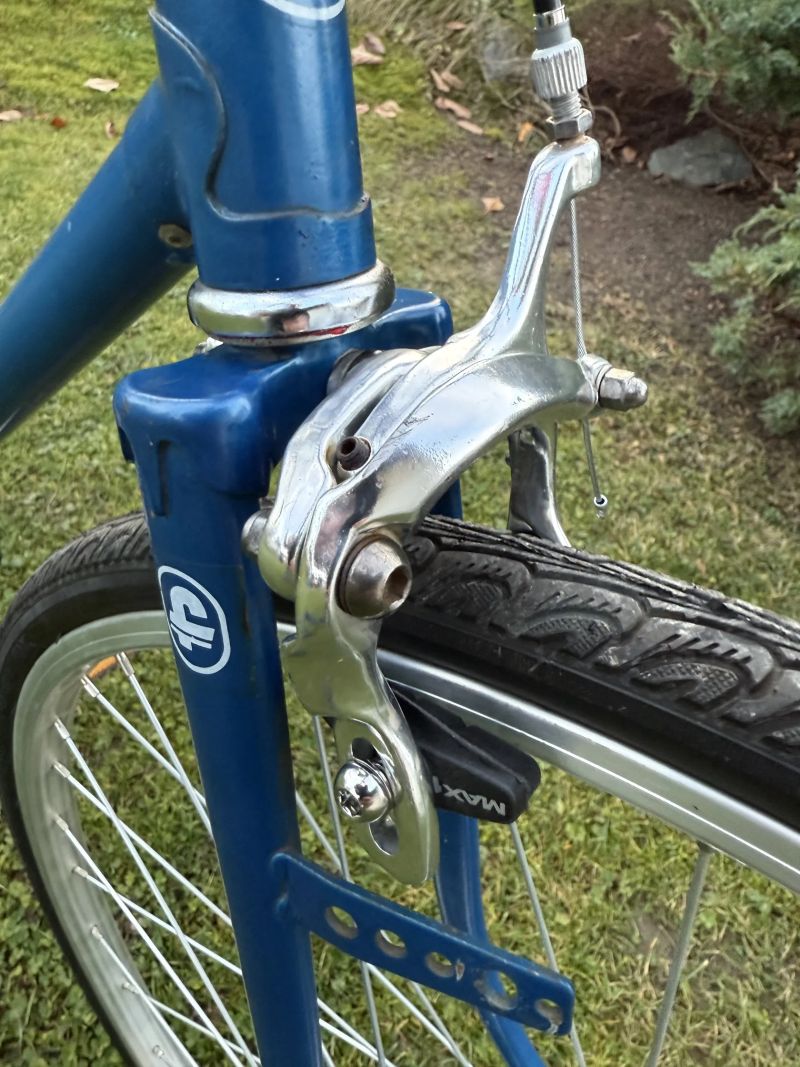 Favorit SINGLSPEED CUSTOM