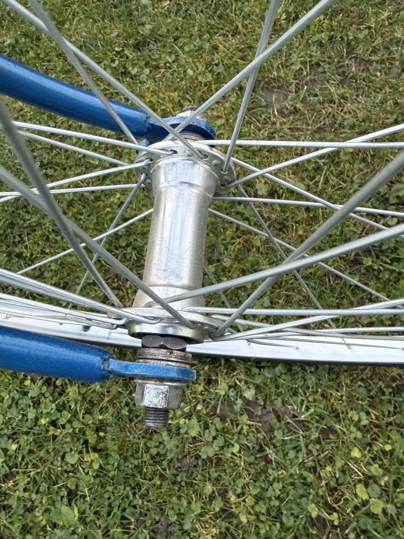 Favorit SINGLSPEED CUSTOM