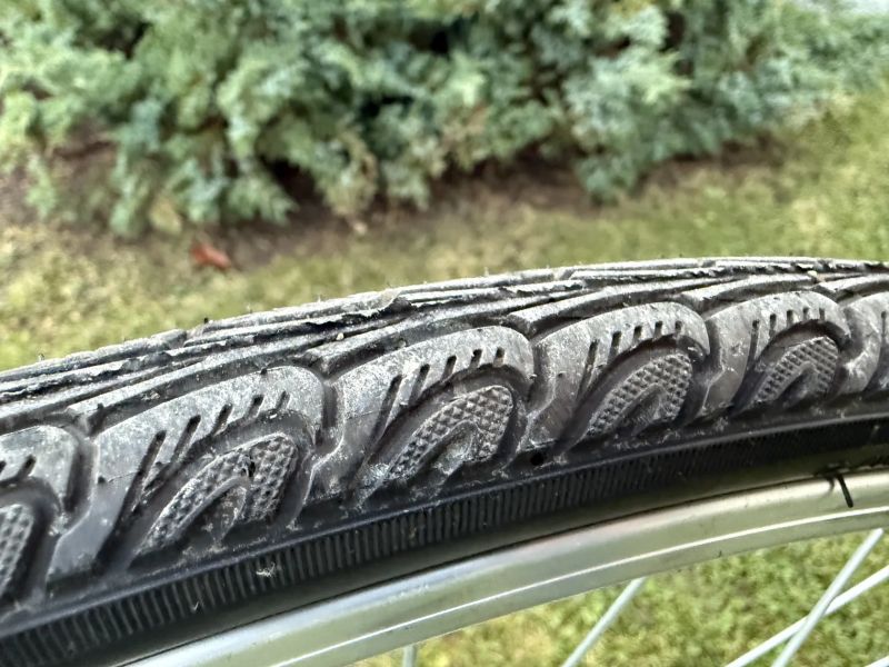 Favorit SINGLSPEED CUSTOM