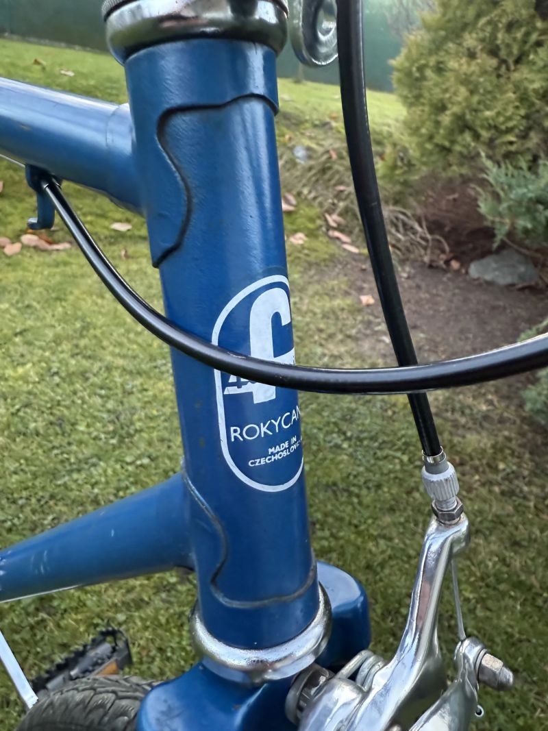 Favorit SINGLSPEED CUSTOM