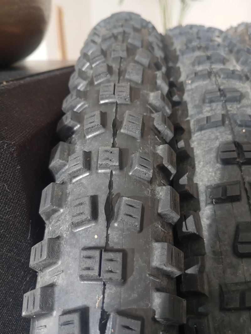 Maxxis