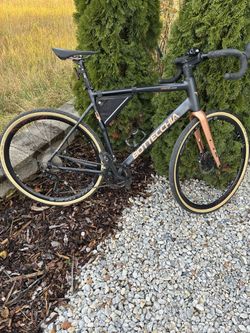 Bottecchia Gravel monster