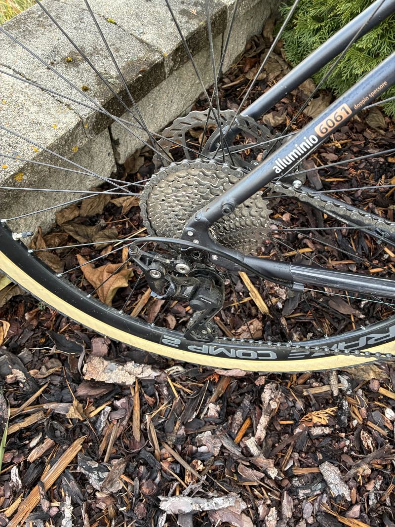 Bottecchia Gravel monster