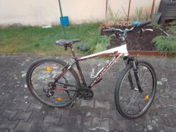 Rock Machine Crossride 350