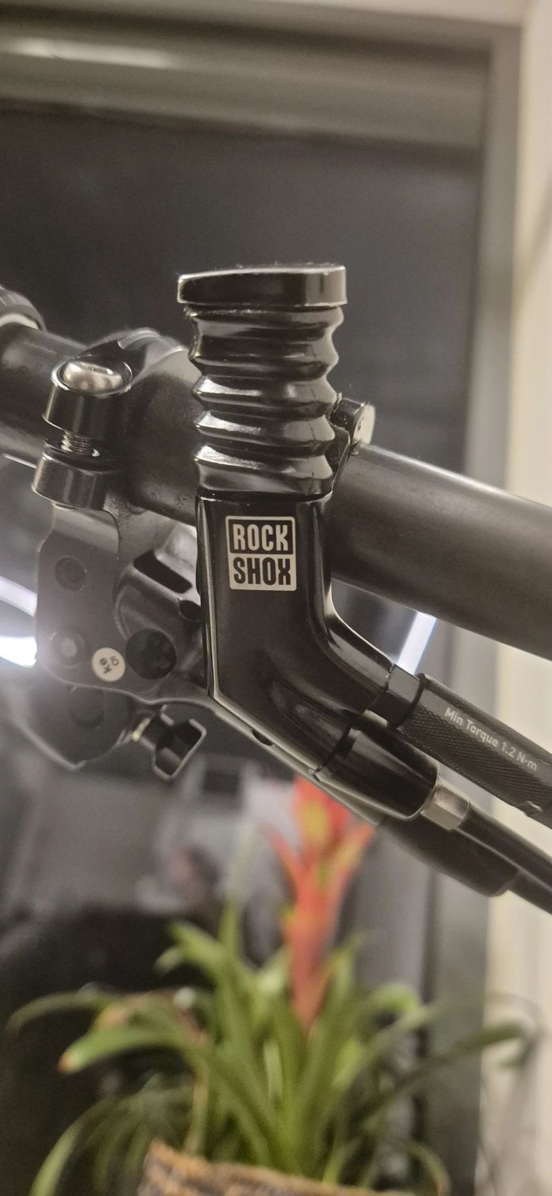 Cannondale Scalpel Si 29" Carbon 3