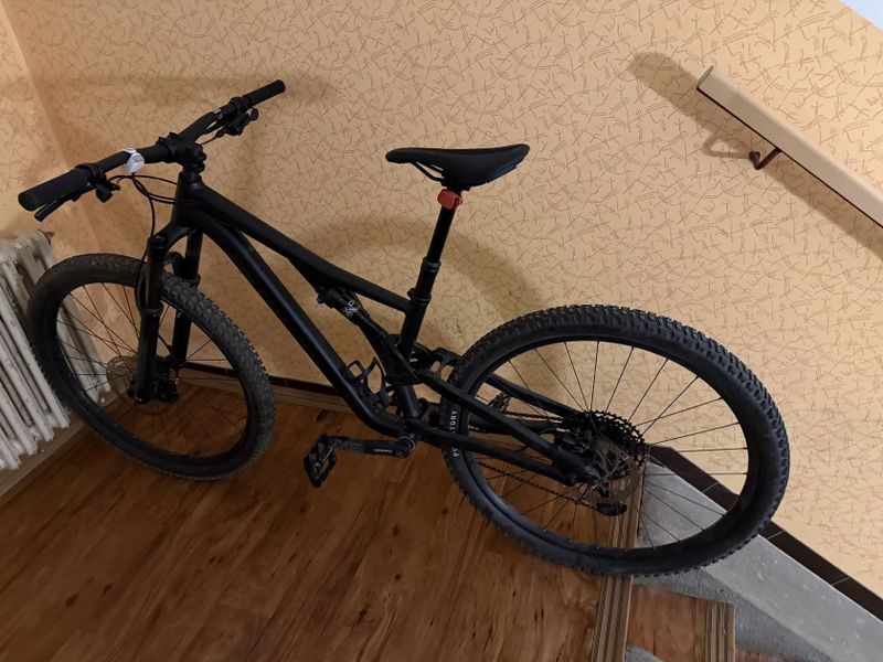Specialized Stumpjumper