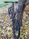 Specialized Stumpjumer FSR PRO