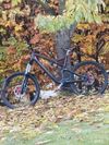 Specialized Stumpjumer FSR PRO