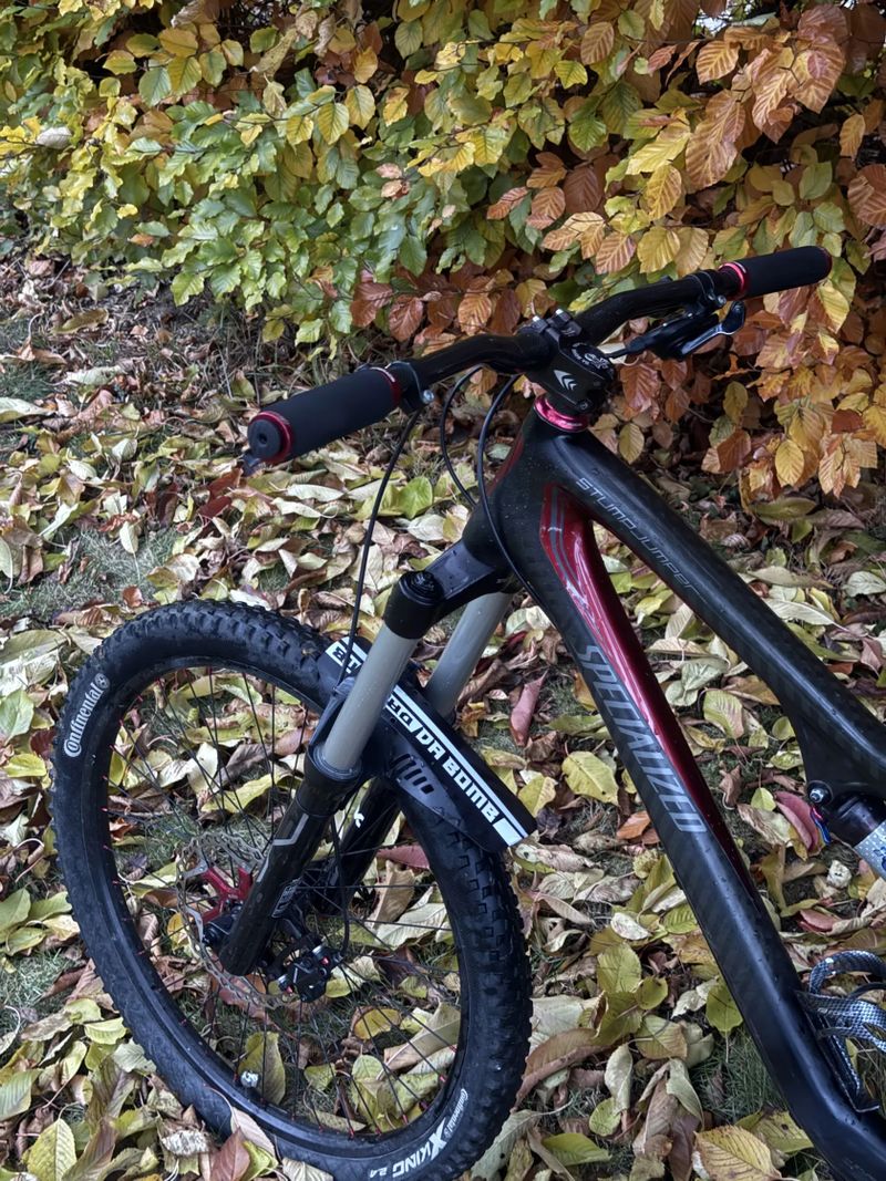 Specialized Stumpjumer FSR PRO