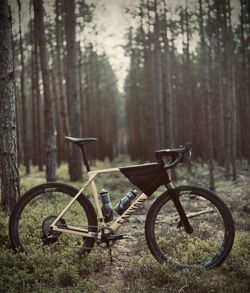 Canyon Grail CF SLX 8 AXS