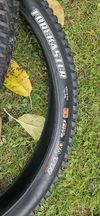Maxxis Forekaster 29x2.6" 2 kusy