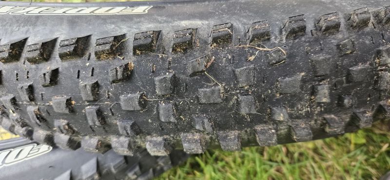 Maxxis Forekaster 29x2.6" 2 kusy