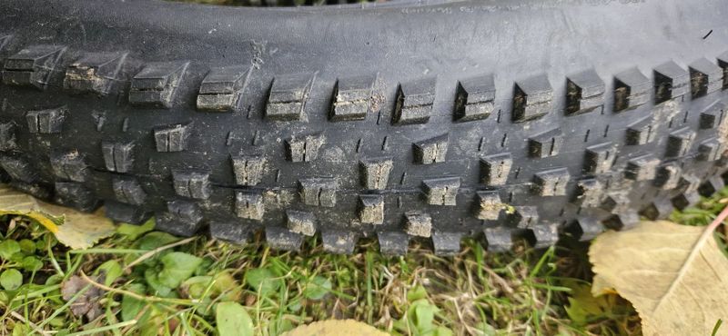 Maxxis Forekaster 29x2.6" 2 kusy
