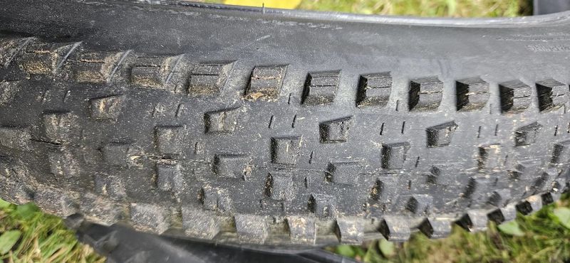 Maxxis Forekaster 29x2.6" 2 kusy