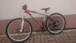 Pell's RAZZER RACE XT 10 - 13 let (kola 26") - karbonová zadní vidlice 