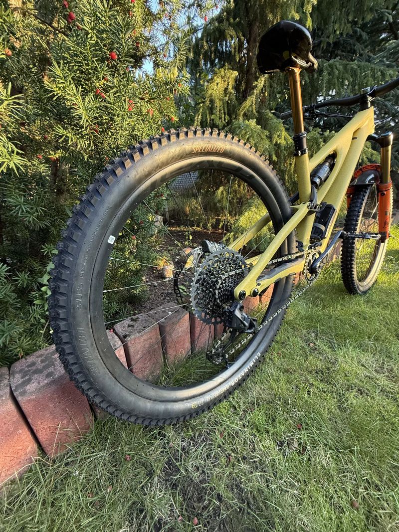 Specialized Stumpjumper EVO