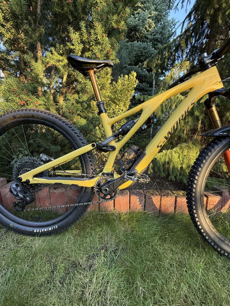 Specialized Stumpjumper EVO