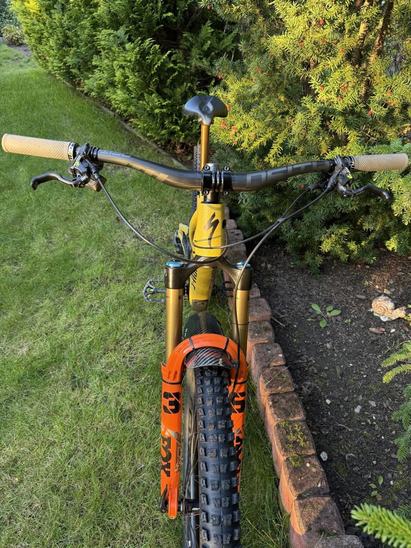 Specialized Stumpjumper EVO