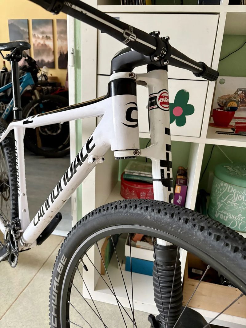 Cannondale Cannondale flash 29