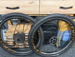 MCFK carbon 650b + TUNE + Sapim