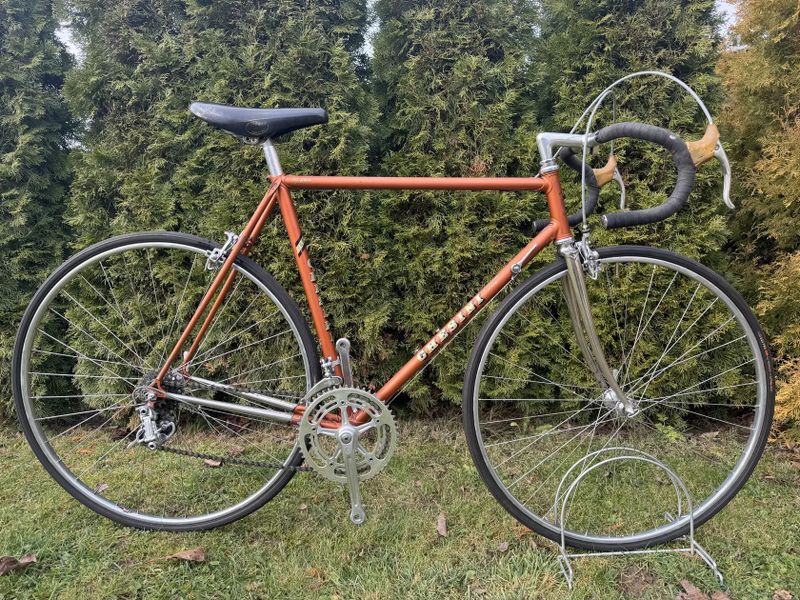 Chesini Professional