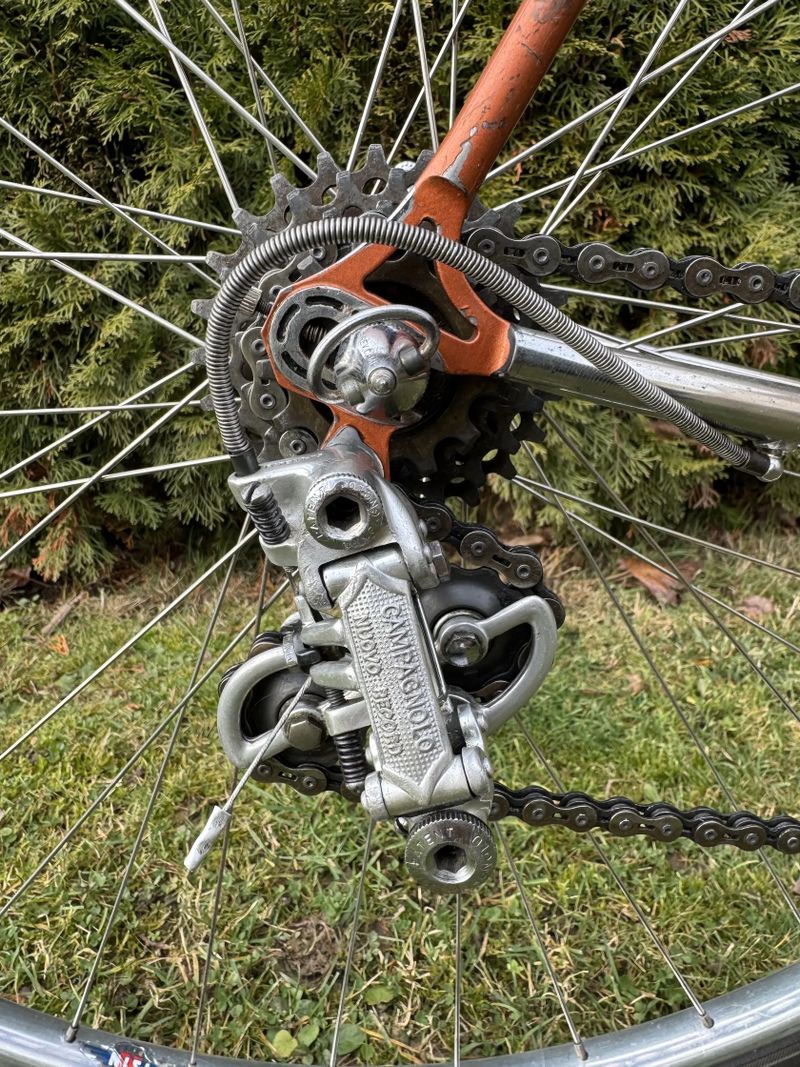 Chesini Professional