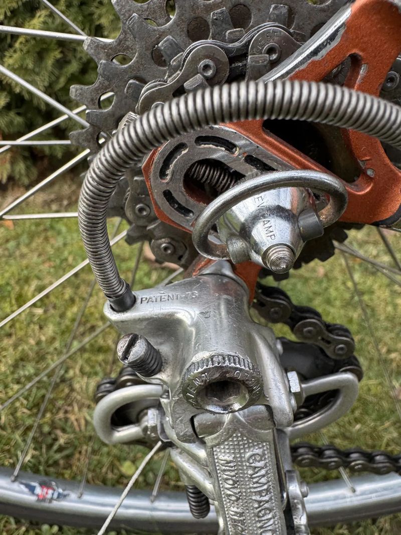 Chesini Professional