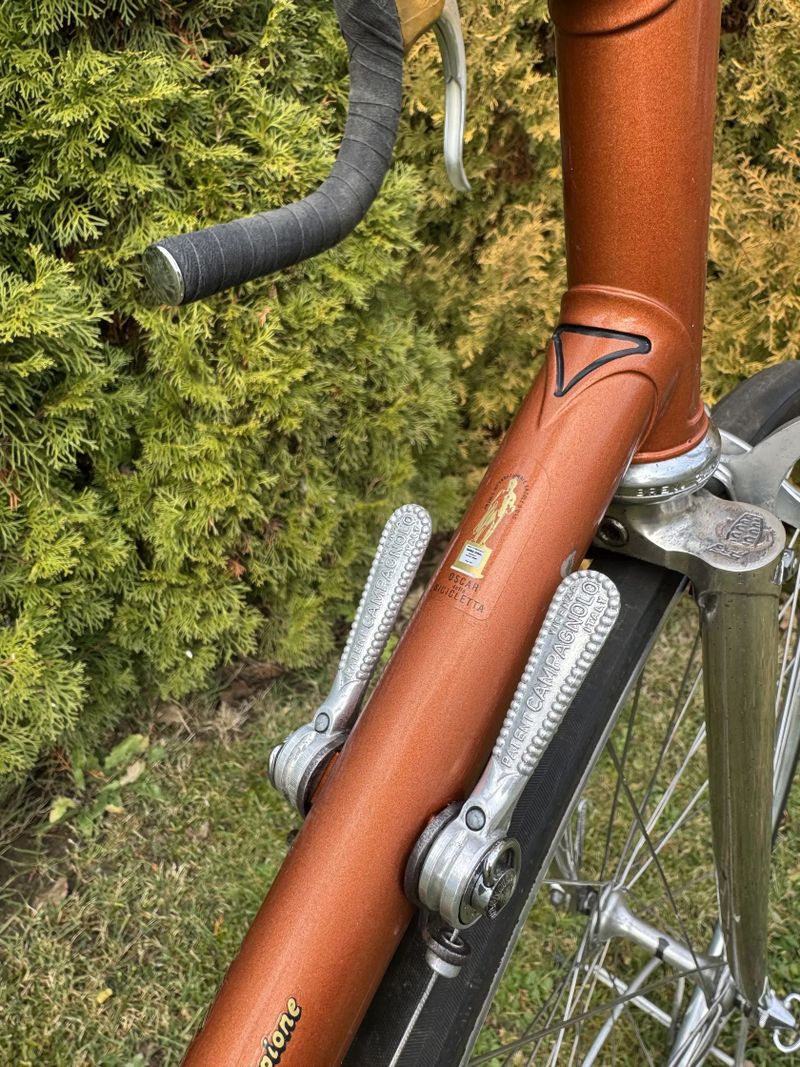 Chesini Professional