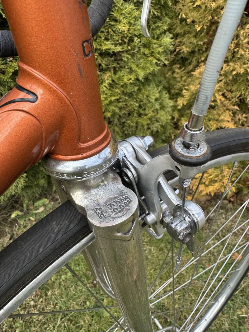 Chesini Professional