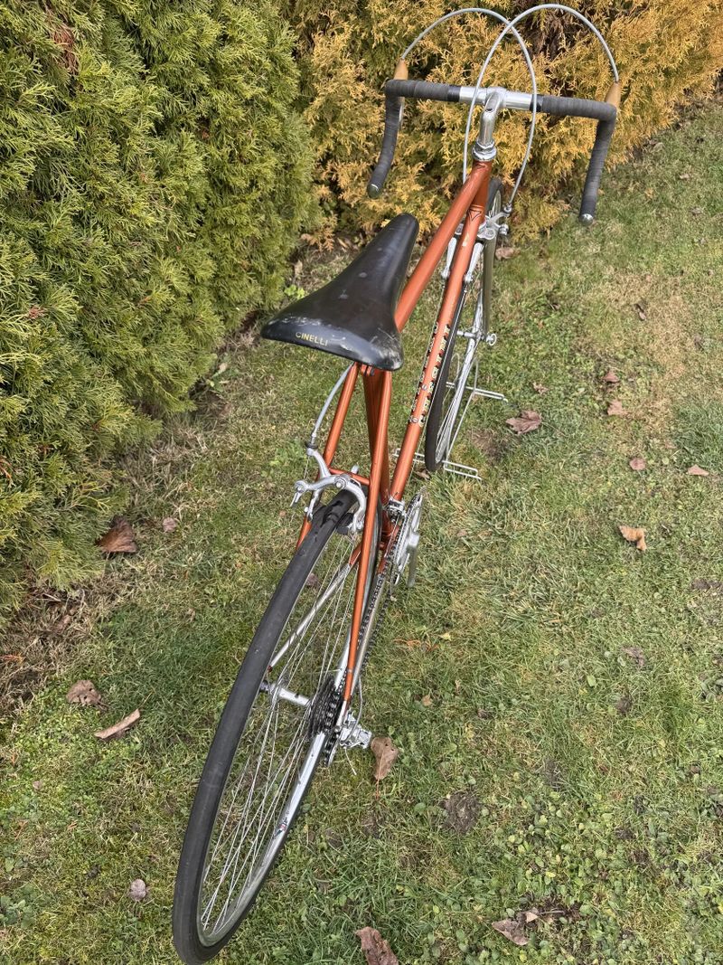 Chesini Professional