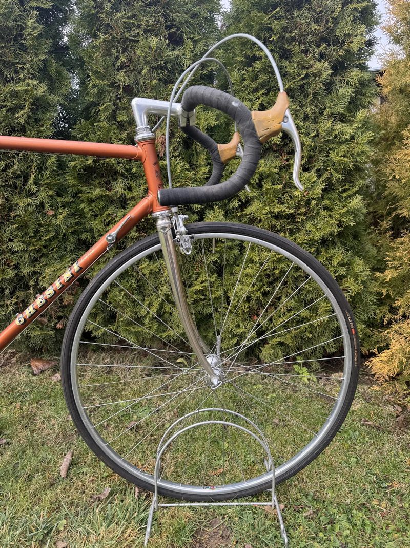 Chesini Professional