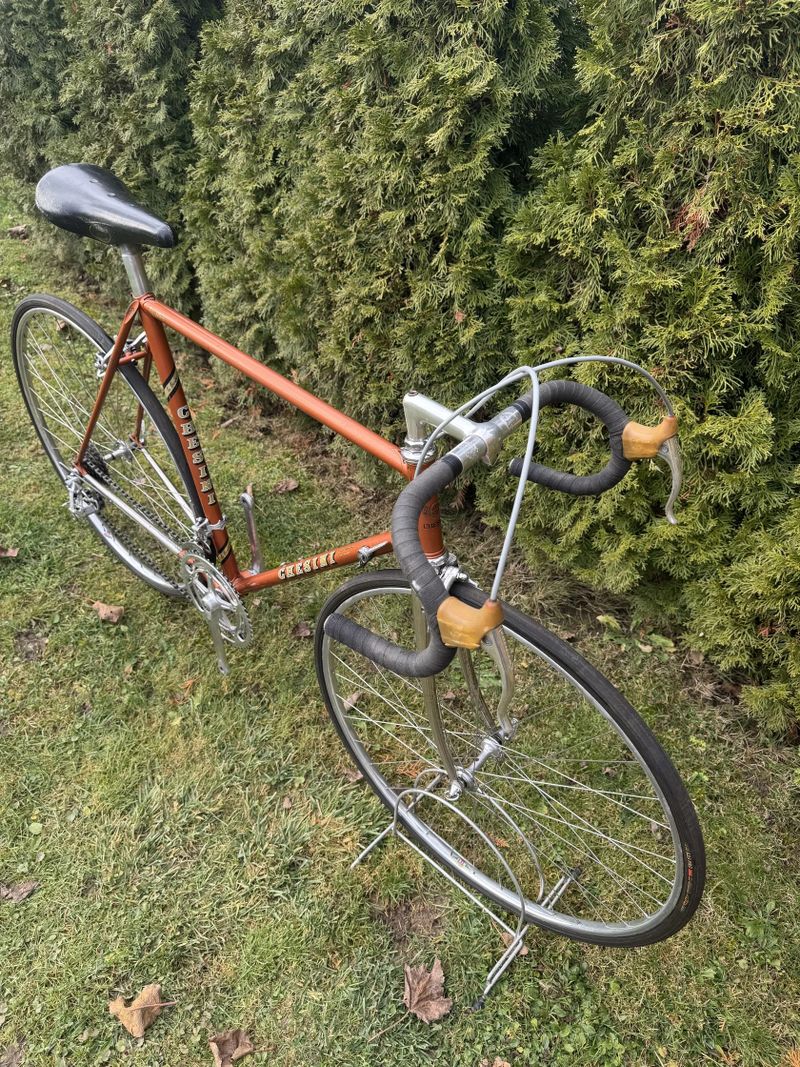 Chesini Professional