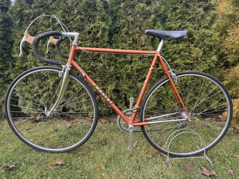 Chesini Professional