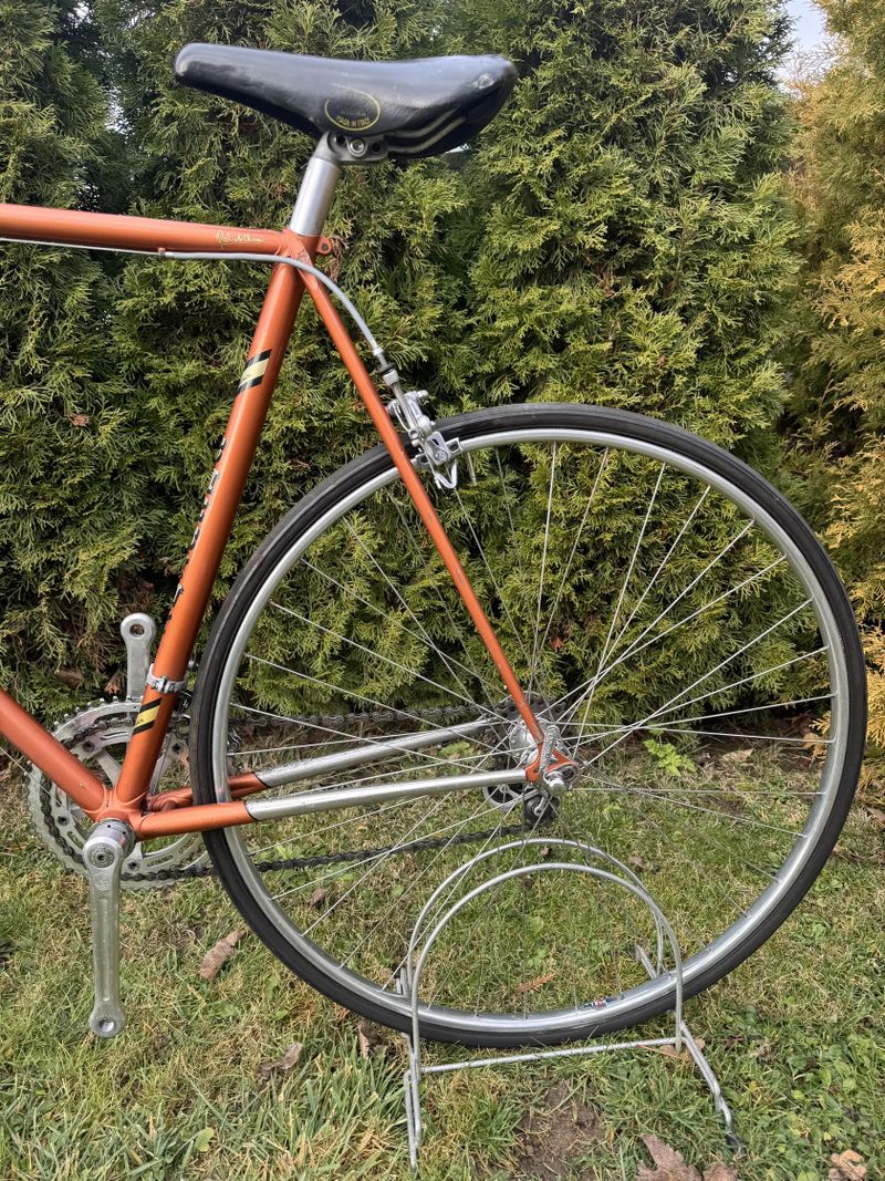 Chesini Professional