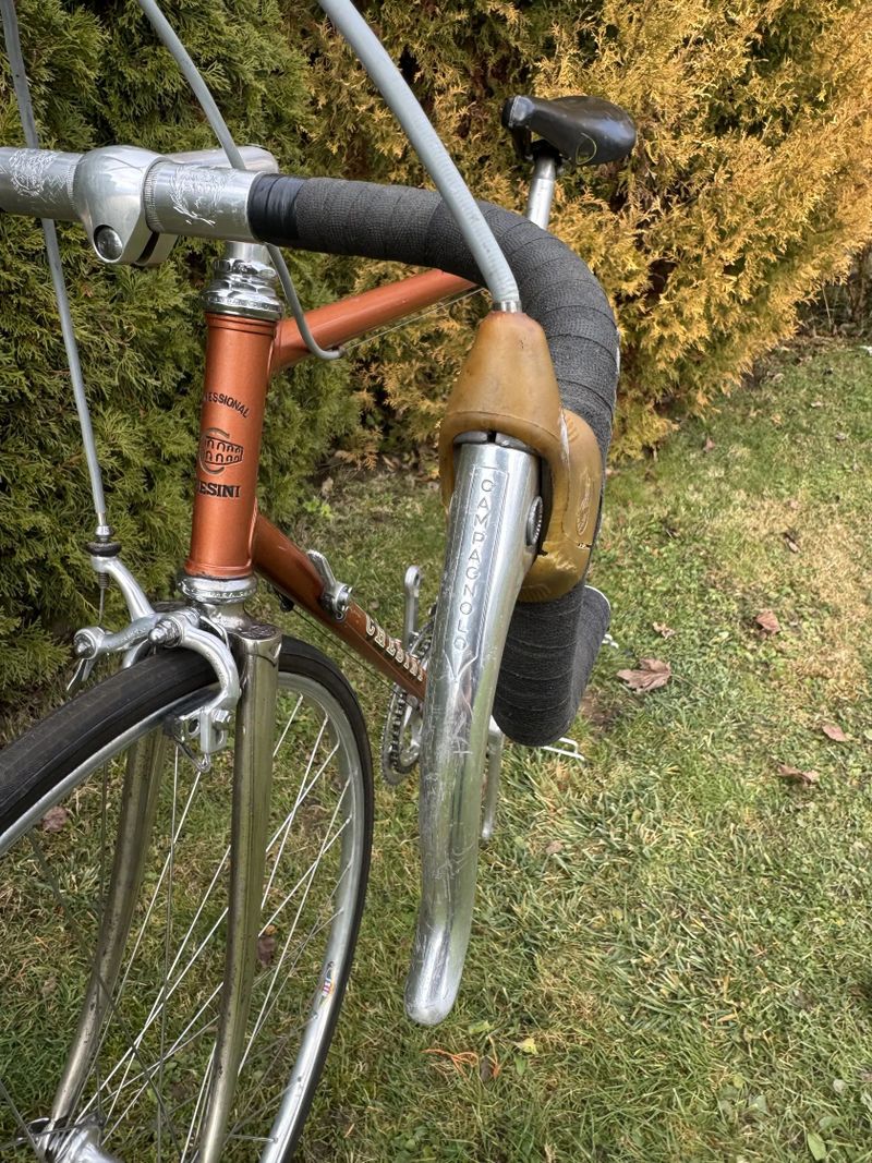 Chesini Professional