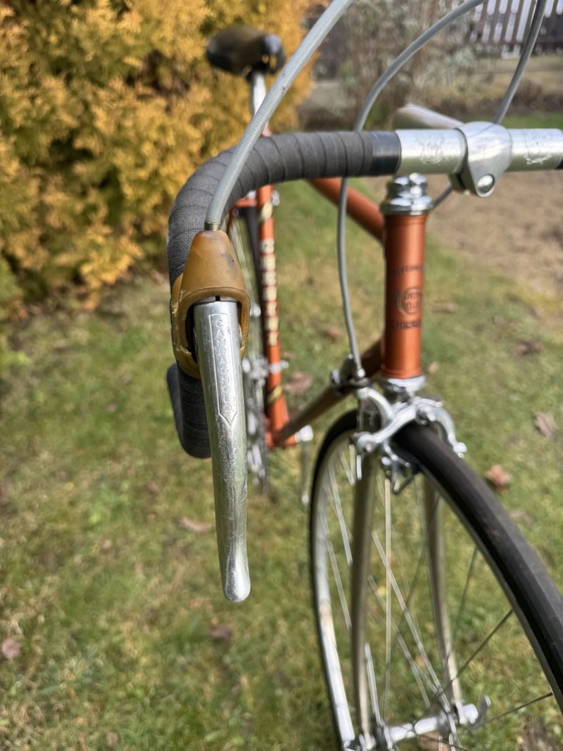 Chesini Professional