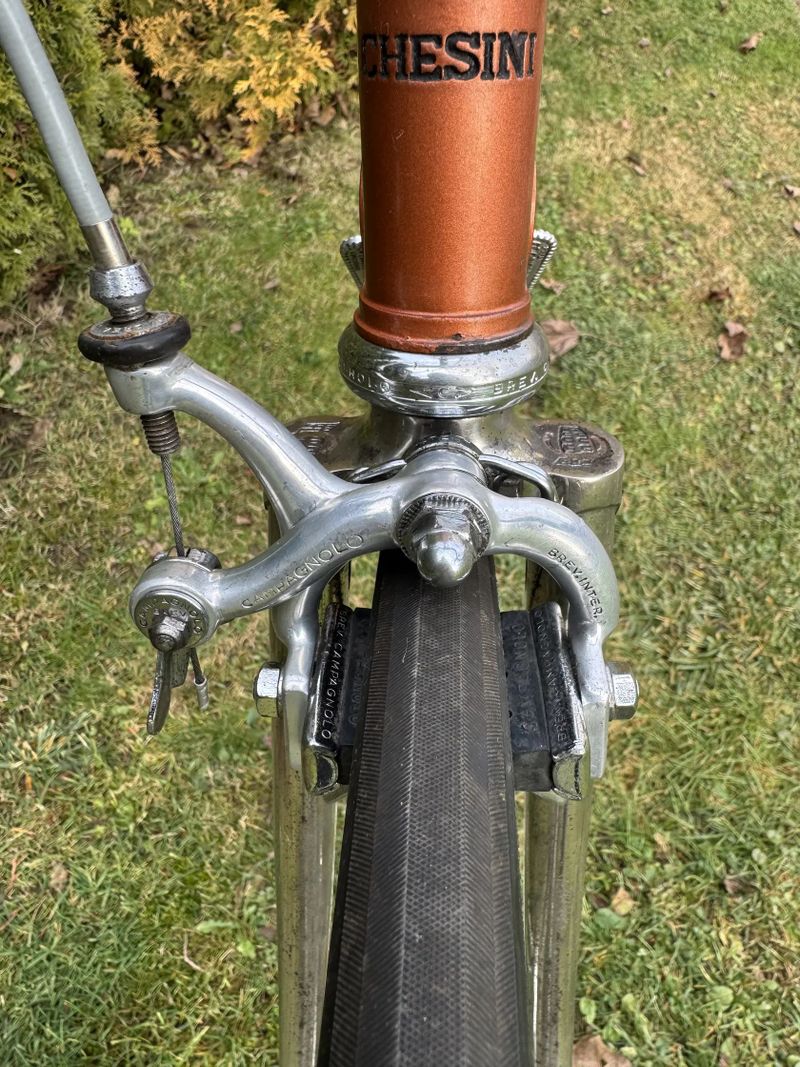 Chesini Professional