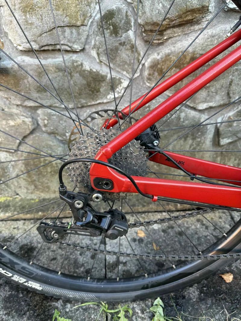 Giant Revolt 1 (2023) – M/L, Grenadine