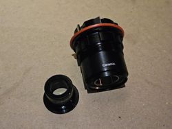 XDR ořech CSC (CSCT31)