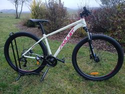 Amulet Night Cat 1.0