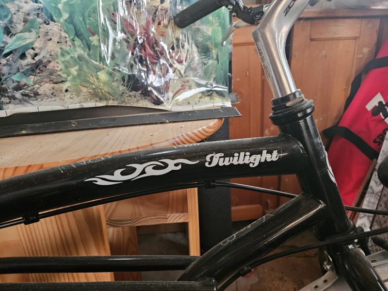 dvojkolo Twilight tandem