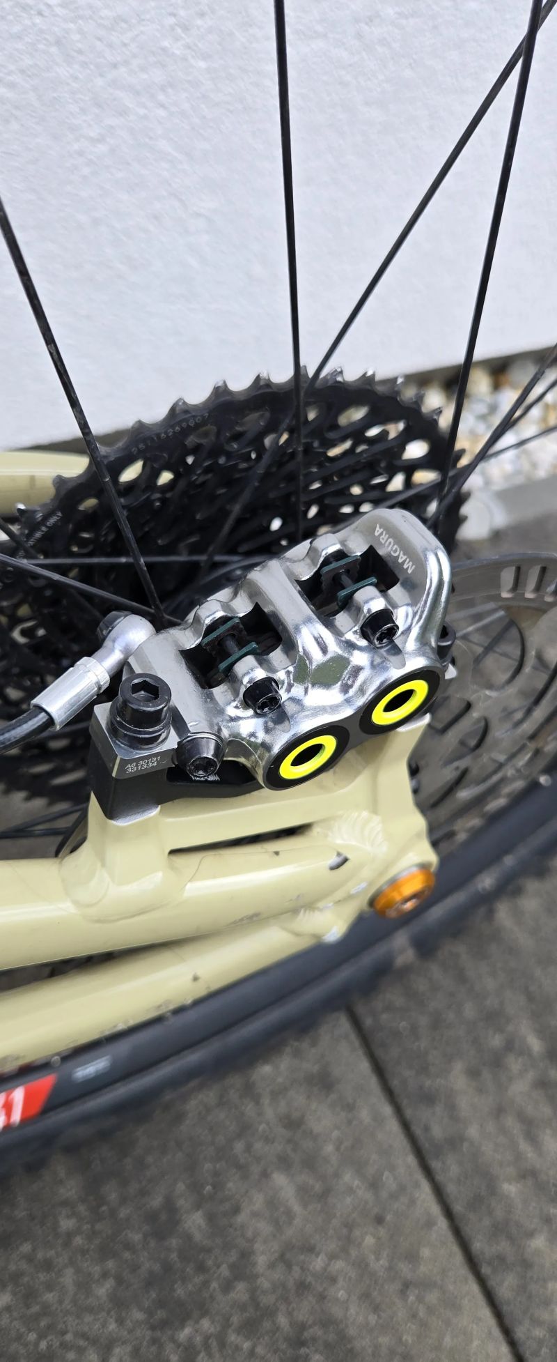 Santa Cruz Hightower