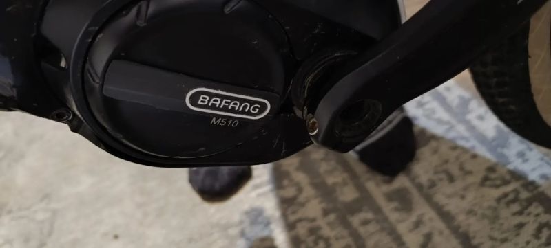 Leader Fox Acron 2023