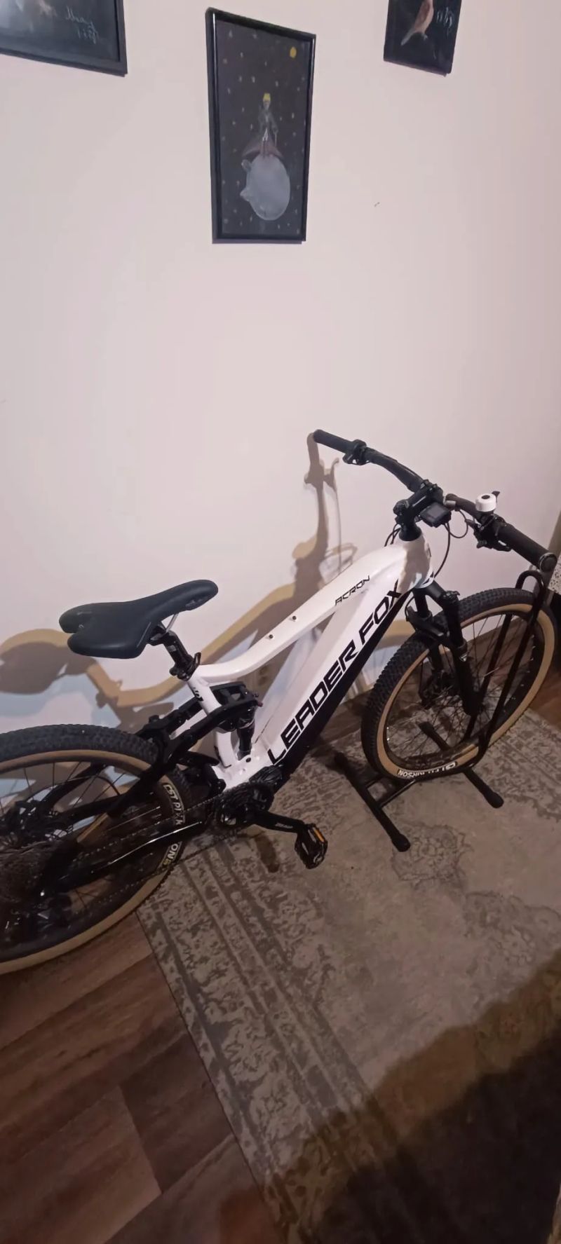 Leader Fox Acron 2023