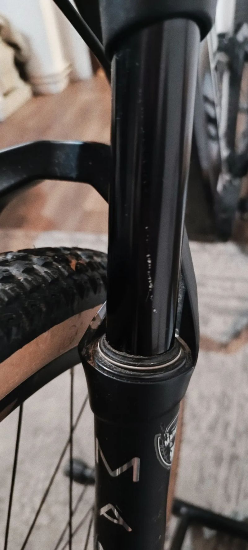 Leader Fox Acron 2023